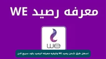 أسهل طرق شحن رصيد WE وكيفية معرفة الرصيد بكود سريع الآن